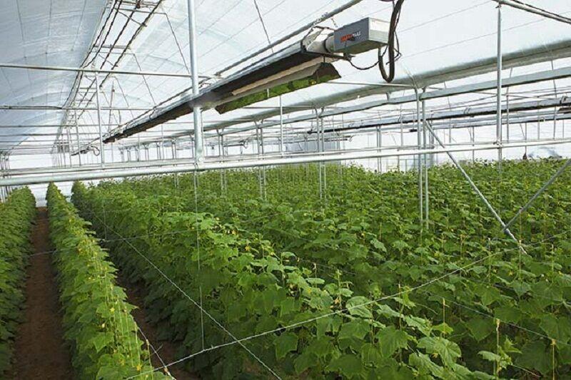خبرنگاران استاندار اردبیل: محصولات گلخانه ای پارس آباد خبرنگاران استاندار اردبیل: محصولات گلخانه ای پارس آباد صادر می گردد