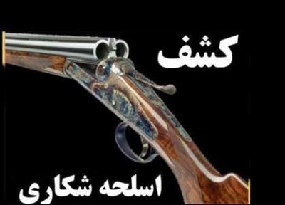 کشف 2000 اسلحه شکاری غیر مجاز در تهران