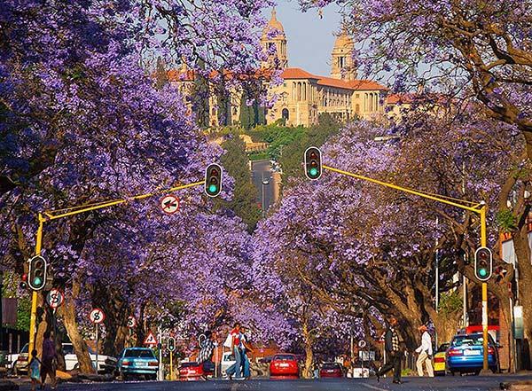 تور افریقای جنوبی: دیدنی های پرتوریا ، شهری تاریخی در آفریقای جنوبی