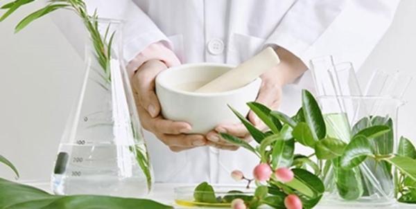 تدوین 15 استاندارد برای محصولات اولویت دار گیاهان دارویی